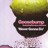 GOOSEBUMP/ROMINA JOHNSON - NEVER GONNA DO (DICK CARTER ORIGINAL RADIO EDIT)